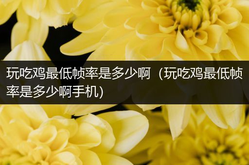 玩吃鸡最低帧率是多少啊（玩吃鸡最低帧率是多少啊手机）