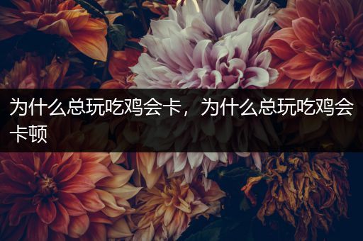 为什么总玩吃鸡会卡，为什么总玩吃鸡会卡顿