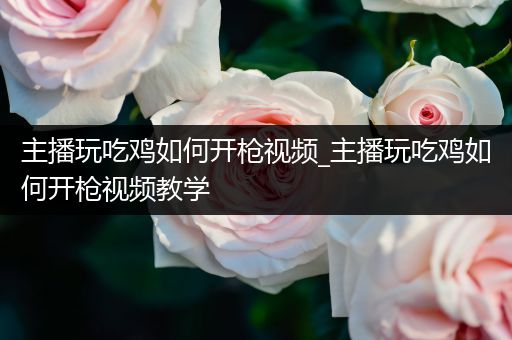 主播玩吃鸡如何开枪视频_主播玩吃鸡如何开枪视频教学