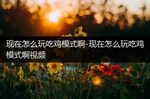 现在怎么玩吃鸡模式啊-现在怎么玩吃鸡模式啊视频