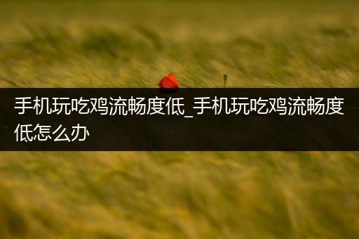 手机玩吃鸡流畅度低_手机玩吃鸡流畅度低怎么办