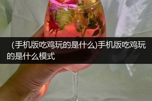 （手机版吃鸡玩的是什么)手机版吃鸡玩的是什么模式