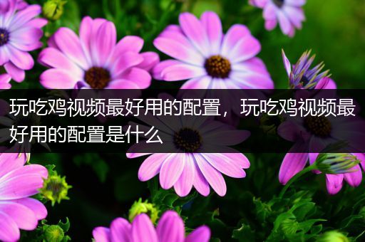 玩吃鸡视频最好用的配置，玩吃鸡视频最好用的配置是什么