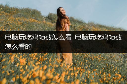 电脑玩吃鸡帧数怎么看_电脑玩吃鸡帧数怎么看的
