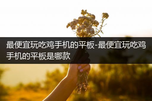 最便宜玩吃鸡手机的平板-最便宜玩吃鸡手机的平板是哪款