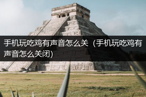 手机玩吃鸡有声音怎么关（手机玩吃鸡有声音怎么关闭）
