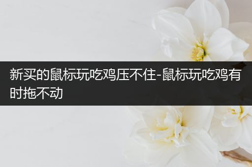 新买的鼠标玩吃鸡压不住-鼠标玩吃鸡有时拖不动