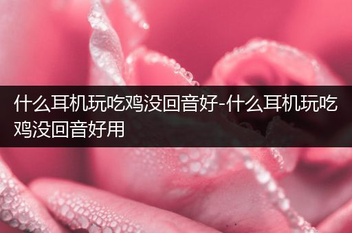 什么耳机玩吃鸡没回音好-什么耳机玩吃鸡没回音好用