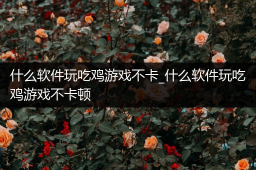 什么软件玩吃鸡游戏不卡_什么软件玩吃鸡游戏不卡顿