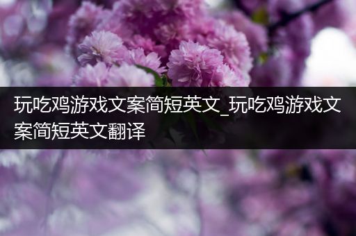 玩吃鸡游戏文案简短英文_玩吃鸡游戏文案简短英文翻译