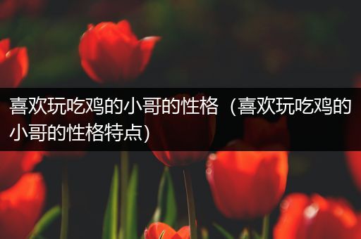 喜欢玩吃鸡的小哥的性格（喜欢玩吃鸡的小哥的性格特点）