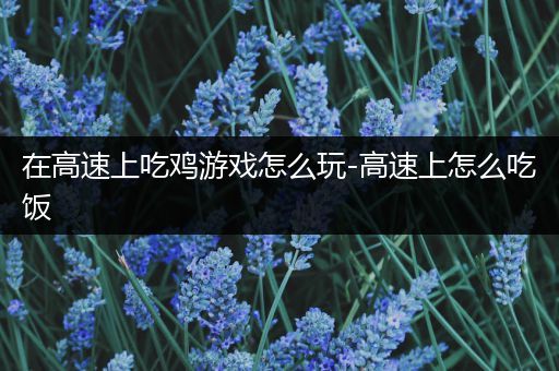 在高速上吃鸡游戏怎么玩-高速上怎么吃饭