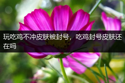 玩吃鸡不冲皮肤被封号，吃鸡封号皮肤还在吗