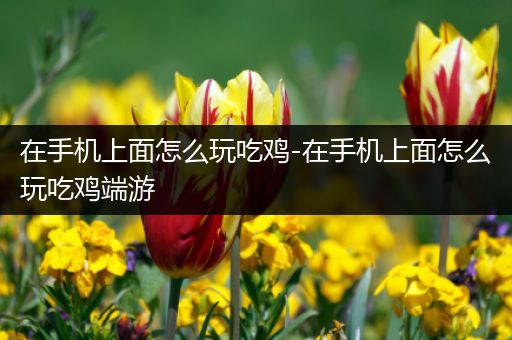 在手机上面怎么玩吃鸡-在手机上面怎么玩吃鸡端游