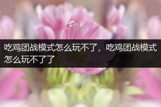 吃鸡团战模式怎么玩不了，吃鸡团战模式怎么玩不了了