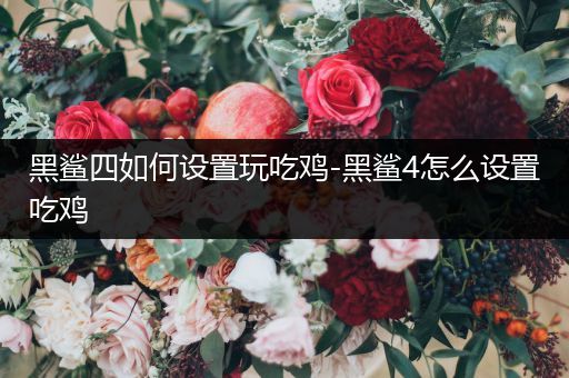 黑鲨四如何设置玩吃鸡-黑鲨4怎么设置吃鸡