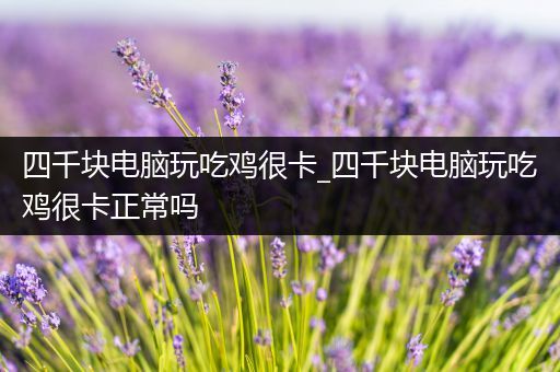 四千块电脑玩吃鸡很卡_四千块电脑玩吃鸡很卡正常吗