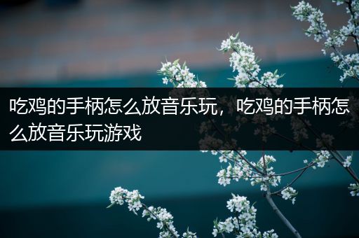 吃鸡的手柄怎么放音乐玩，吃鸡的手柄怎么放音乐玩游戏