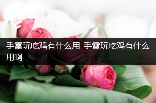 手雷玩吃鸡有什么用-手雷玩吃鸡有什么用啊