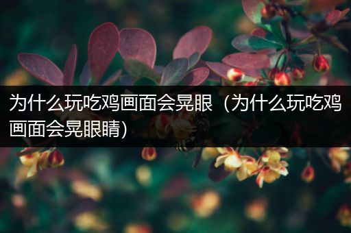 为什么玩吃鸡画面会晃眼（为什么玩吃鸡画面会晃眼睛）