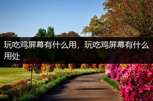 玩吃鸡屏幕有什么用，玩吃鸡屏幕有什么用处