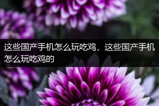 这些国产手机怎么玩吃鸡，这些国产手机怎么玩吃鸡的