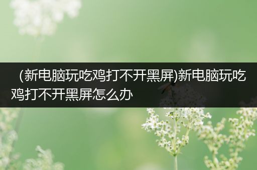 （新电脑玩吃鸡打不开黑屏)新电脑玩吃鸡打不开黑屏怎么办