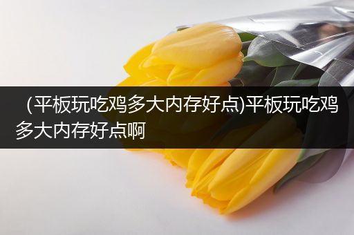 （平板玩吃鸡多大内存好点)平板玩吃鸡多大内存好点啊