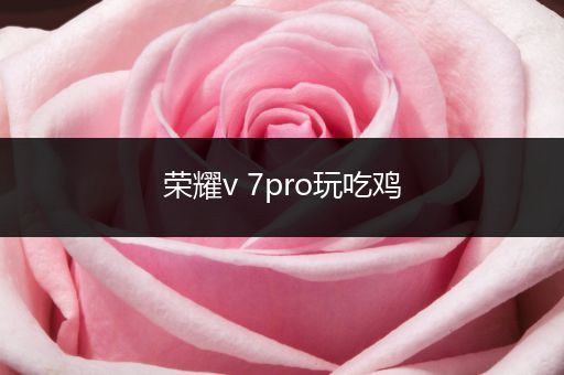 荣耀v 7pro玩吃鸡
