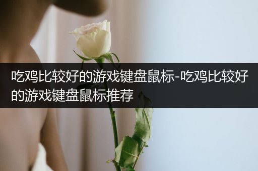 吃鸡比较好的游戏键盘鼠标-吃鸡比较好的游戏键盘鼠标推荐