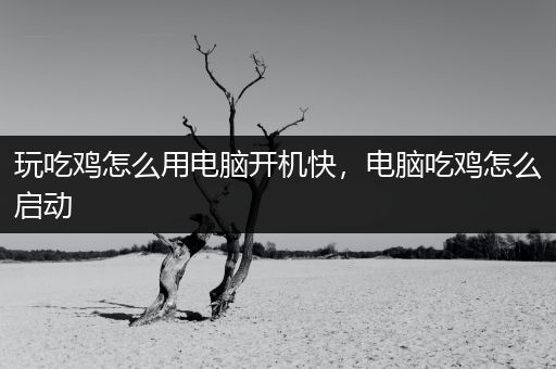 玩吃鸡怎么用电脑开机快，电脑吃鸡怎么启动