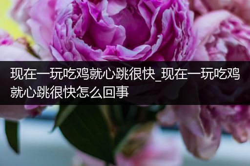 现在一玩吃鸡就心跳很快_现在一玩吃鸡就心跳很快怎么回事