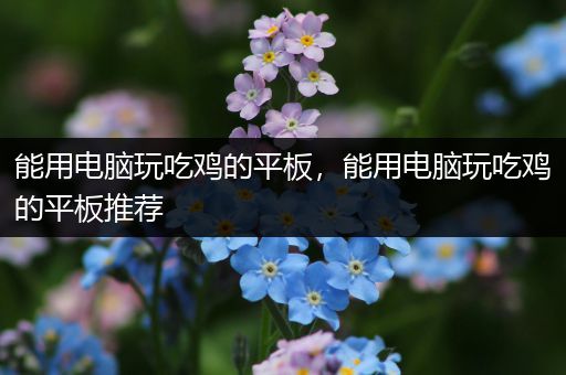能用电脑玩吃鸡的平板，能用电脑玩吃鸡的平板推荐