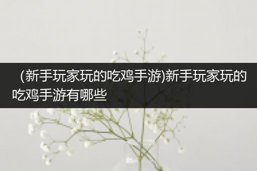 （新手玩家玩的吃鸡手游)新手玩家玩的吃鸡手游有哪些