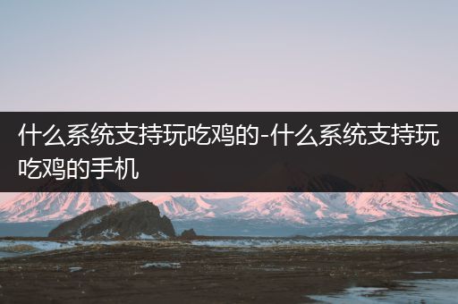 什么系统支持玩吃鸡的-什么系统支持玩吃鸡的手机