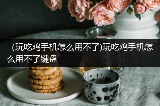 （玩吃鸡手机怎么用不了)玩吃鸡手机怎么用不了键盘
