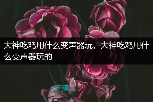 大神吃鸡用什么变声器玩，大神吃鸡用什么变声器玩的