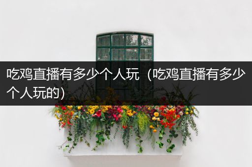 吃鸡直播有多少个人玩（吃鸡直播有多少个人玩的）