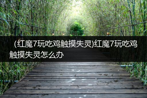 （红魔7玩吃鸡触摸失灵)红魔7玩吃鸡触摸失灵怎么办