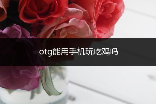 otg能用手机玩吃鸡吗