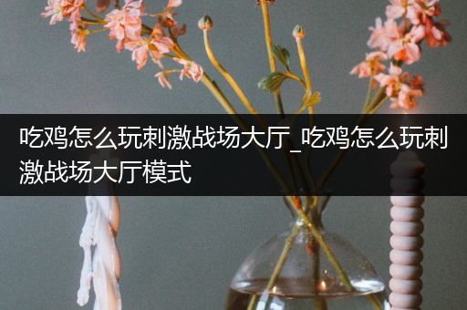 吃鸡怎么玩刺激战场大厅_吃鸡怎么玩刺激战场大厅模式