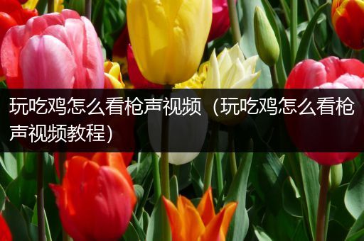 玩吃鸡怎么看枪声视频（玩吃鸡怎么看枪声视频教程）
