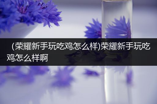 （荣耀新手玩吃鸡怎么样)荣耀新手玩吃鸡怎么样啊