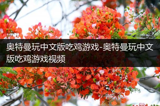 奥特曼玩中文版吃鸡游戏-奥特曼玩中文版吃鸡游戏视频