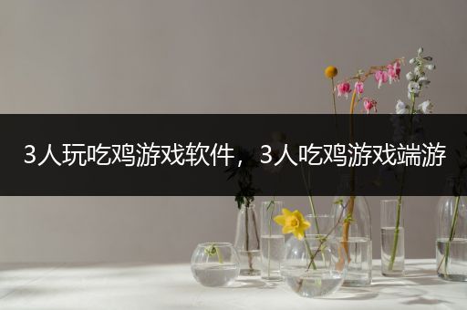 3人玩吃鸡游戏软件，3人吃鸡游戏端游