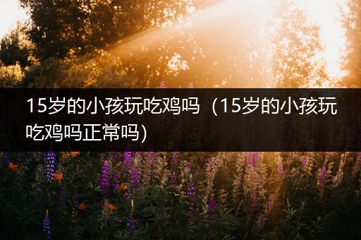 15岁的小孩玩吃鸡吗（15岁的小孩玩吃鸡吗正常吗）
