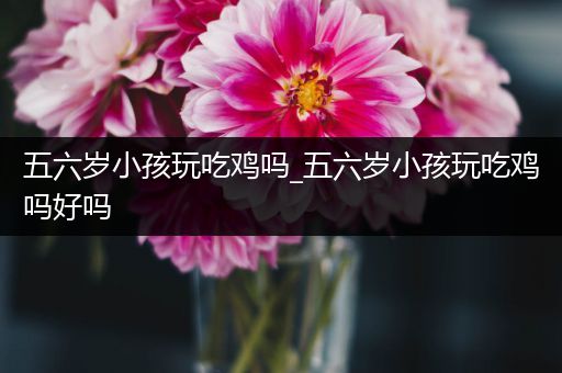 五六岁小孩玩吃鸡吗_五六岁小孩玩吃鸡吗好吗