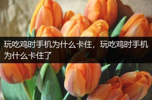 玩吃鸡时手机为什么卡住，玩吃鸡时手机为什么卡住了