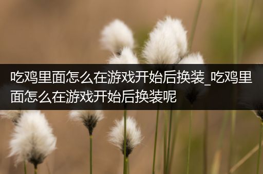 吃鸡里面怎么在游戏开始后换装_吃鸡里面怎么在游戏开始后换装呢