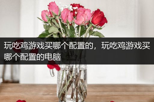 玩吃鸡游戏买哪个配置的，玩吃鸡游戏买哪个配置的电脑